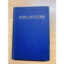 ANTIQUE E P ROE "THE OPENING OF A CHESTNUT BURR" FICTION BOOK (P3)