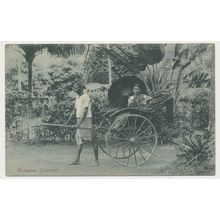 Ceylon Sri Lanka Colombo Tamil lady in a hand-pulled rickshaw Early 20th C. RPPC