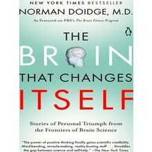 Brain That Changes Itself Stories Of Per