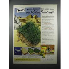 1953 Swift Vigoro Plant Food Ad - Sahara Desert Sand