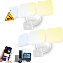 EMANER Outdoor Security Light Tunable White 2700K-6500K Dimmable,Motion Sensor F