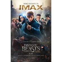 Fantastic Beasts and Where to Find Them (2016)_16 Movie Film Poster Canvas iconi