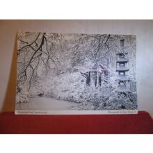 A SNOWY PEASHOLM PARK by Max Payne, SCARBOROUGH, YORKSHIRE unused postcard (A) =