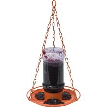 Perky-Pet 253 Wild Oriole Jelly Bird Feeder - 32 Ounce Feeder Capacity