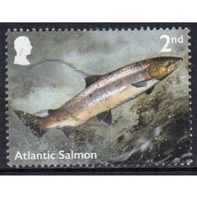 GB 2023 River Wildlife - Atlantic Salmon 2nd Used