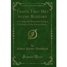 Trains That Met in the Blizzard: A Composite Romance (Classic Reprint)