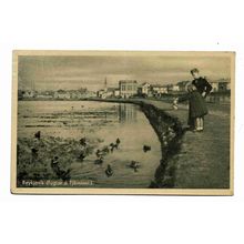 Postcard Iceland Reykjavik fuglar á tjörninni birds on the pond children 1950s ?