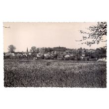 AUTHON (Loir-et-Cher), France postcard Vue Generale 1st... 70/80s repro