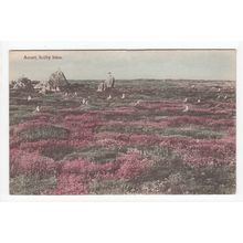 Annet Isles of Scilly Postcard Neptune Series