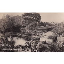 Waterlea Park Blenheim New Zealand Real Photo Old Postcard
