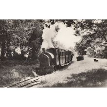 Edward Thomas Train At Rhydyronen Talyllyn Railway Welsh Real Photo Postcard