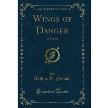 Wings of Danger: A Novel (Classic Reprint)