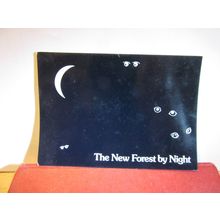 THE NEW FOREST BY NIGHT, HAMPSHIRE unused postcard, by J. Salmon =
