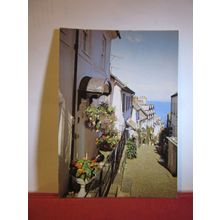 DOWN-A-LONG, CLOVELLY, DEVON .used postcard by J Arthur Dixon 1986 pm =