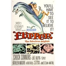 Flipper (1963)_0 Movie Film Poster Canvas iconic design
