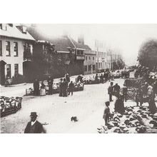 Bancroft Farm Sheep Traders Market Place Hitchin Hertfordshire Rare Postcard