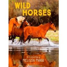 Wild Horses - Melissa Marr