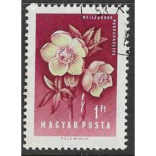 HUNGARY 1958 FLOWERS 1ft USED SG1523
