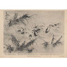 Hundred Geese Chinese Old Painting Bird Ma Fen 11th Century Postcard