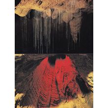 Glow Worm Threads Waitomo Caves New Zealand 2x Postcard s