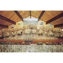 Rotorua New Zealand 1970s Agrodome Sheep Display Trained Rams Postcard