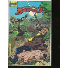 Badger, #19, First Comic, High Grade