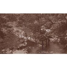 In The Glen Aber Real Photo Antique Postcard