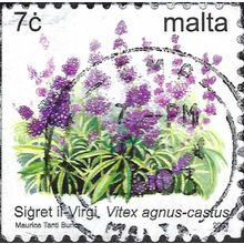 MALTA, FLOWER, Virgin Bush, Vitex agnus-castus, white 2003, 7c, #5