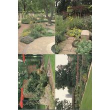 Lambeth Palace London Flowers Grounds 8x Stunning Postcard s