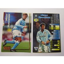 110. N Summerbee - Man City - Merlin Ultimate P. L 1995/96 Football Card (ef1)