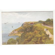 Babbacombe Bay and Downs A R Quinton Art Postcard Devon J Salmon 1670