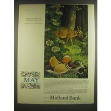 1965 Midland Bank Ad - Muntjac and Mandarin Duck