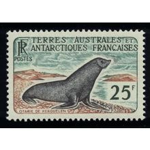 FSAT TAAF Kerguelen fur seal 25f 1960 MNH SG#14 Sc#18