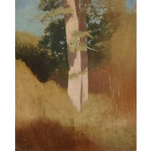 Odilon Redon - Trees in the Blue Sky Poster Canvas Movie Film Print A0 A1 A2 A3