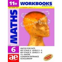 11 Maths