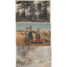 Under The Pines Farm Cows Sleeping Farming 3x Old Postcard