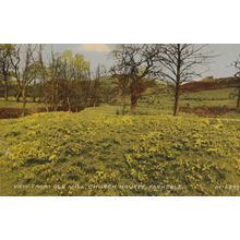 View From Old Mill Church Houses Farndale Yorkshire 1960s Mint Postcard