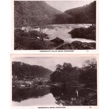 Cennarth Falls Near Cardigan 2x Real Photo Postcard s