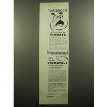 1960 Squibb Vionate and Vionate-L Advertisement - Outrageous!