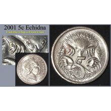 Australia 2001 5c Echidna ~ Die Chip/Cud on Front Claw - Circulated [1bb]