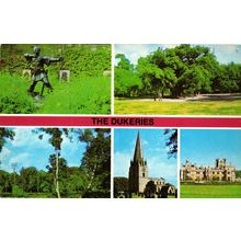 Postcard The Dukeries, Nottinghamshire. Multiview. Unposted