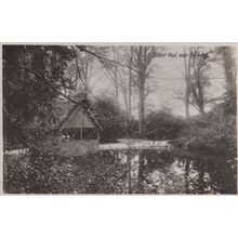 Silent Pool Dorking Vintage Real Photo Surrey Postcard