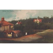 Shirley Hills Croydon Summer Fashion Washing Line Antique Surrey Postcard