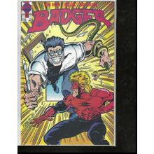 Badger, #45, 1989, First Comic Book, High Grade