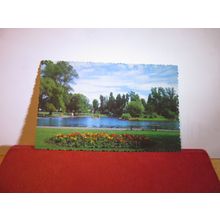 THE PARK, HERNE BAY, KENT. unused postcard dated 1967 =