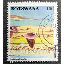 STAMP Botswana 1994 10t Lesser Flamingos at Sua Pan