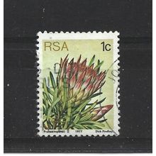 SouthAfrica.SG414 1c Protea Repens.Fine Used.Sep25u