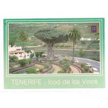 VIEW OF THE DRAGO, TENERIFE used postcard.1992 #