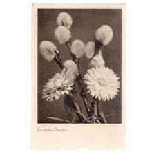 FLOWERS .unused vintage German postcard =