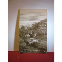 HIGHLAND SPLENDOURS used vintage postcard ROTARY PHOTO 1933 pm cattle =